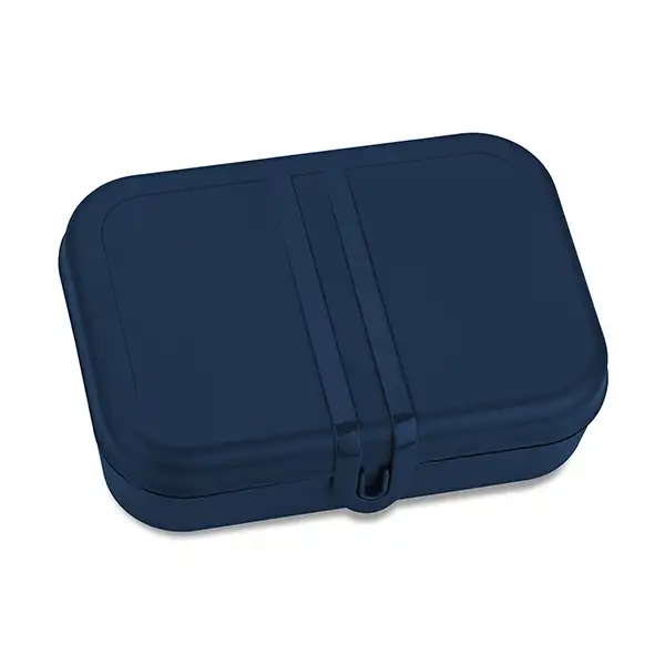 PASCAL L - obrazek 7